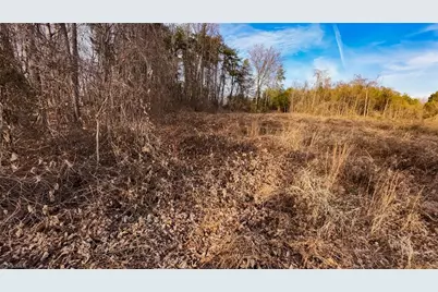 Lot 3 Kudzu Trail, Pelham, NC 27311 - Photo 10