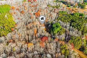 278 Williamson Creek Rd, Ruffin, NC 27326 - Photo 30