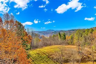 575 New River Cemetery Rd, Grassy Creek, NC 28631 - Photo 48