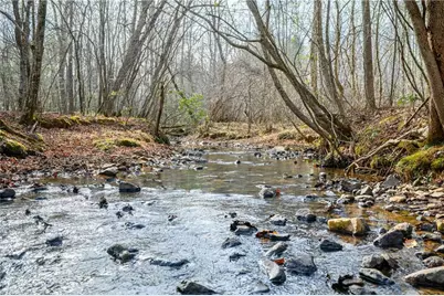 655 Wind Ridge Lane, Dobson, NC 27017 - Photo 48