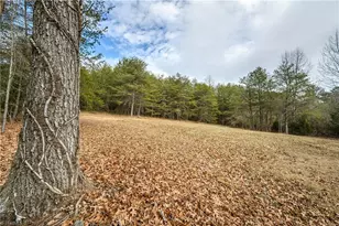 655 Wind Ridge Ln, Dobson, NC 27017 - Photo 32