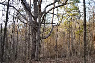 3180 Williston Rd, Walkertown, NC 27051 - Photo 24