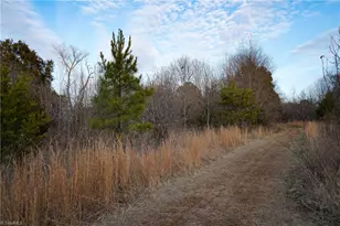 3180 Williston Rd, Walkertown, NC 27051 - Photo 20