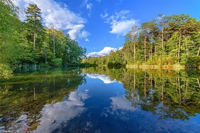 9664 Lissara Camp Court, Lewisville, NC 27023 - Photo 32