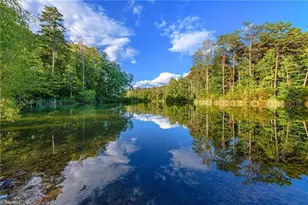 9664 Lissara Camp Ct, Lewisville, NC 27023 - Photo 32