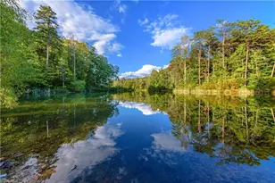 9652 Lissara Camp Ct, Lewisville, NC 27023 - Photo 6