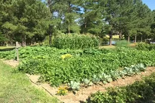 1457 Altamahaw Union Ridge Rd, Burlington, NC 27217 - Photo 38