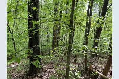 0 Sheets Trail, Germanton, NC 27019 - Photo 8