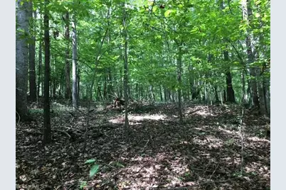 0 Sheets Trail, Germanton, NC 27019 - Photo 14