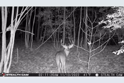 Tbd Taylorsville Road, Granite Falls, NC 28645 - Photo 2