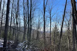 Tbd (Lot 8) Woodland Ridge, Lansing, NC 28643 - Photo 1