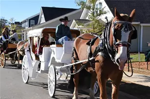 1715 Creekline Dr, Kernersville, NC 27284 - Photo 36