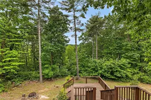 1158 Staghorn Rd, Purlear, NC 28665 - Photo 34