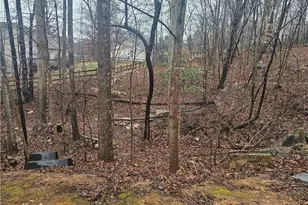 2548 Strawberry Ln, Randleman, NC 27317 - Photo 10