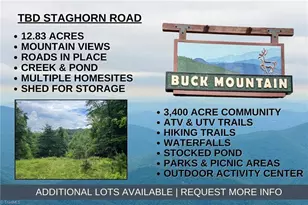 Tbd Staghorn Rd, Purlear, NC 28665 - Photo 1