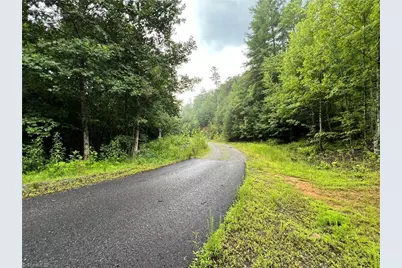 Tbd Staghorn Road, Purlear, NC 28665 - Photo 4
