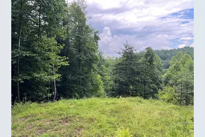 Tbd Staghorn Road, Purlear, NC 28665 - Photo 6