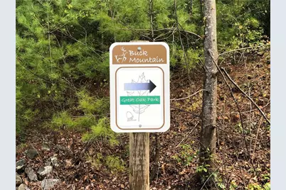 Tbd Staghorn Road, Purlear, NC 28665 - Photo 40