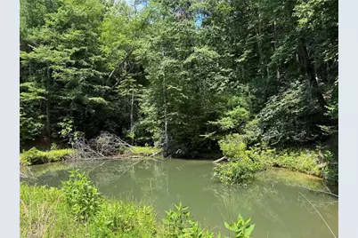 Tbd Staghorn Road, Purlear, NC 28665 - Photo 2