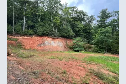 Tbd Staghorn Road, Purlear, NC 28665 - Photo 24