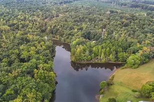 7355 Pisgah Covered Bridge Rd, Asheboro, NC 27205 - Photo 44