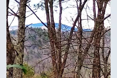 5354 West Ridge Road, Ferguson, NC 28624 - Photo 2