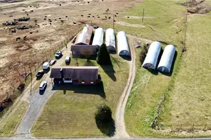 8621 Austin Traphill Rd, Traphill, NC 28685 - Photo 6