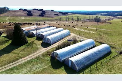 8621 Austin Traphill Road, Traphill, NC 28685 - Photo 16