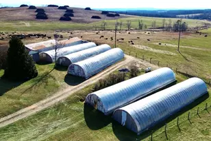 8621 Austin Traphill Rd, Traphill, NC 28685 - Photo 16