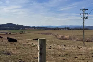 8621 Austin Traphill Rd, Traphill, NC 28685 - Photo 30