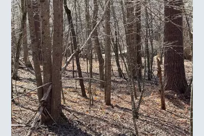 687 W Meadow Parkway, Moravian Falls, NC 28654 - Photo 36