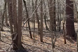 687 W Meadow Pkwy, Moravian Falls, NC 28654 - Photo 36