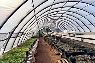 8660 Austin Traphill Rd, Traphill, NC 28685 - Photo 16