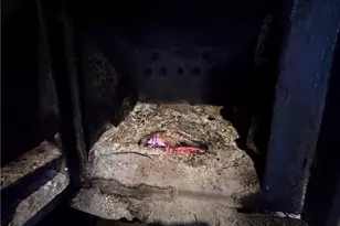 8660 Austin Traphill Rd, Traphill, NC 28685 - Photo 30