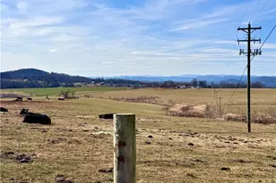 8660 Austin Traphill Rd, Traphill, NC 28685 - Photo 26