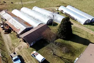 8660 Austin Traphill Rd, Traphill, NC 28685 - Photo 12