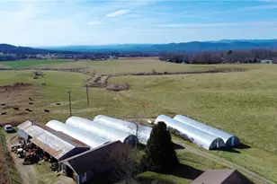 8660 Austin Traphill Rd, Traphill, NC 28685 - Photo 12