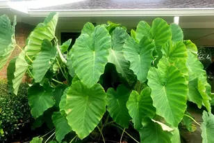 3501 Bates Dr, Winston-Salem, NC 27105 - Photo 42