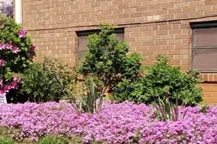 3501 Bates Dr, Winston-Salem, NC 27105 - Photo 44