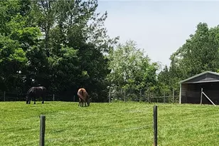 2631 Price Grange Rd, Eden, NC 27288 - Photo 36