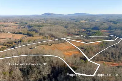 4 Roby Fulk Road, Pinnacle, NC 27043 - Photo 6