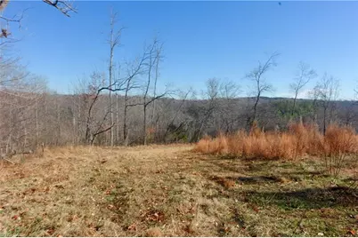 4 Roby Fulk Road, Pinnacle, NC 27043 - Photo 20