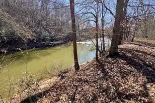 747 Chandler Rd, Dobson, NC 27017 - Photo 16