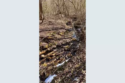 747 Chandler Road, Dobson, NC 27017 - Photo 34