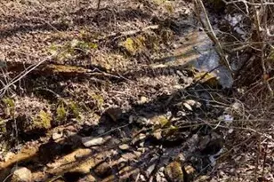 747 Chandler Rd, Dobson, NC 27017 - Photo 34