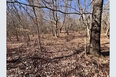 747 Chandler Road, Dobson, NC 27017 - Photo 14