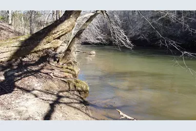 747 Chandler Road, Dobson, NC 27017 - Photo 12