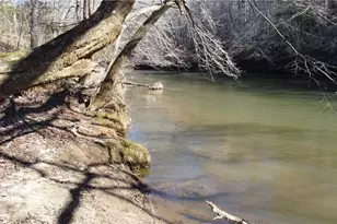 747 Chandler Rd, Dobson, NC 27017 - Photo 12