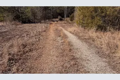 747 Chandler Road, Dobson, NC 27017 - Photo 40