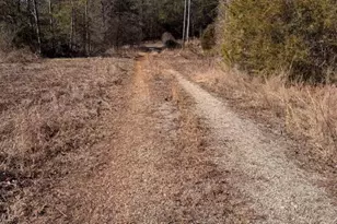 747 Chandler Rd, Dobson, NC 27017 - Photo 40